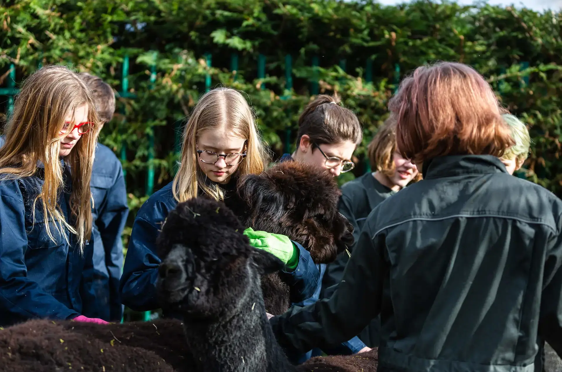 Children working with animals